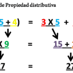 Propiedad distributiva: definición y ejemplos